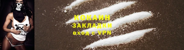 стафф Осташков