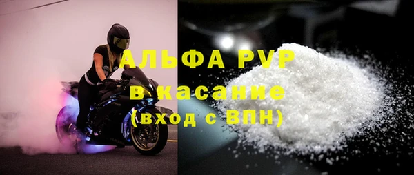 стафф Осташков