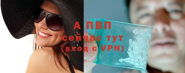 стафф Осташков