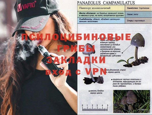 стафф Осташков