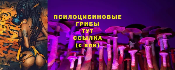 стафф Осташков