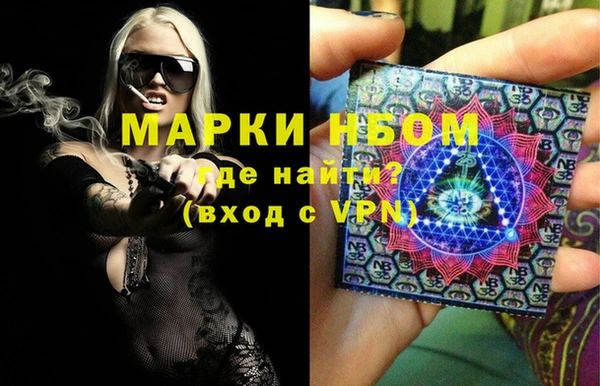 стафф Осташков
