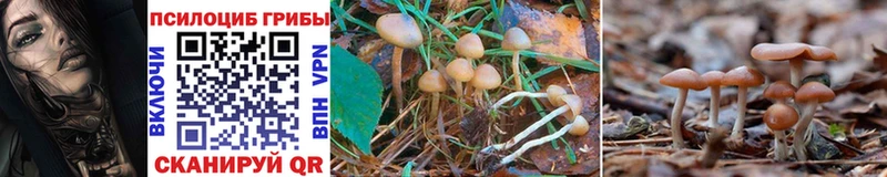 Псилоцибиновые грибы Magic Shrooms  Кораблино 