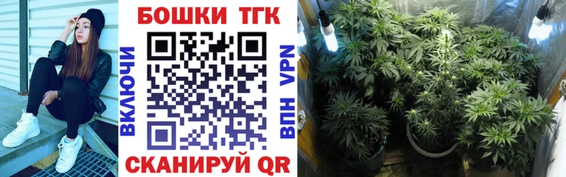Каннабис сатива  Кораблино 