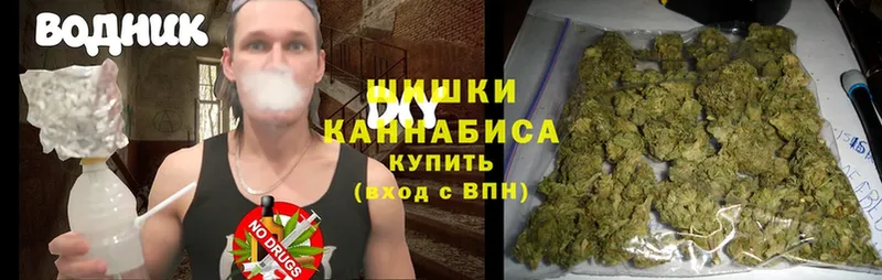 Шишки марихуана SATIVA & INDICA  магазин продажи   Кораблино 